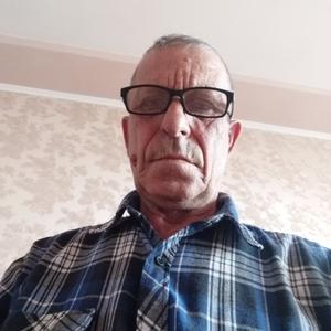 Валерий, 71 год, Новоалтайск