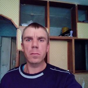 Вова, 38 лет, Витебск