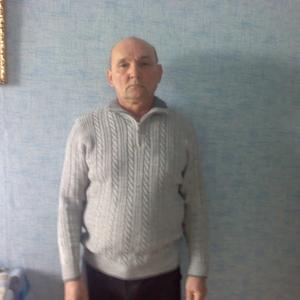 Владимир Пряслинов, 74 года, Дзержинск