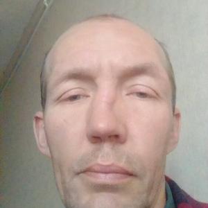 Степан, 41 год, Сергиев Посад