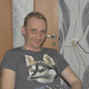 Владислав Дубровский, 43 года, Порхов