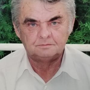 Валерий, 73 года, Санкт-Петербург