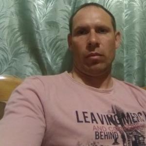 Дима, 41 год, Таганрог