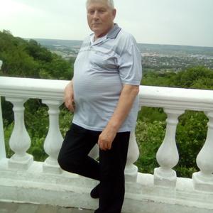Александр, 71 год, Москва