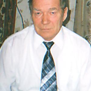 Виктор, 79 лет, Сарапул
