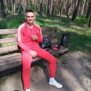 Денис Платонов, 33 года, Белгород