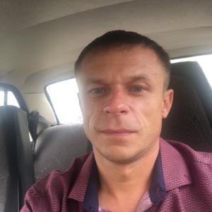 Дмитрий, 37 лет, Кольчугино