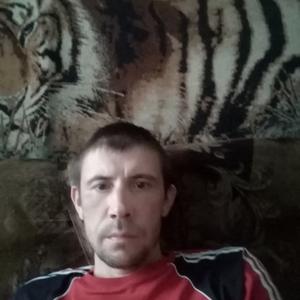 Анатолий, 40 лет, Пенза