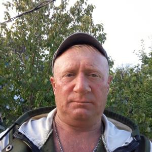 Дмитрий Зверев, 31 год, Бугуруслан