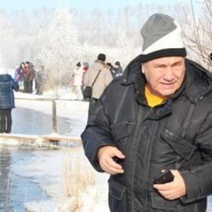 Иван Санаров, 74 года, Москва