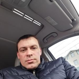 Михаил, 44 года, Мытищи