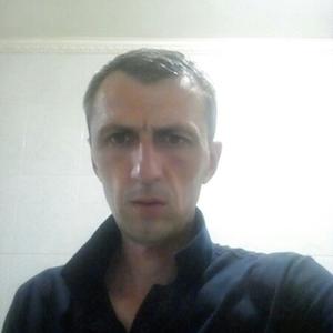 Александр, 36 лет, Алексеевка