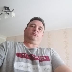 Владимир, 42 года, Витебск