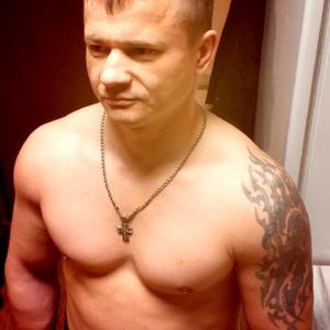 Владимир, 41 год, Дмитров