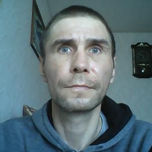 Николай, 46 лет, Ковдор