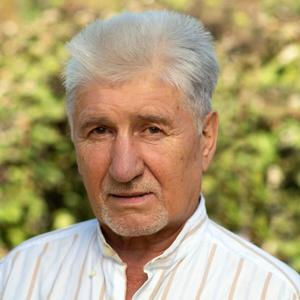 Дмитрий, 68 лет, Сочи