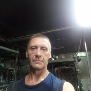 Андрей Душкин, 51 год, Кострома