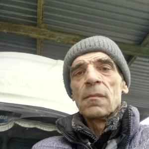 Владимир Лашин, 62 года, Кривополянье