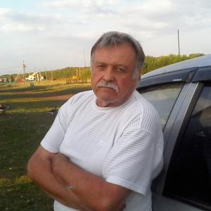 Александр Трифонов, 69 лет, Уфа