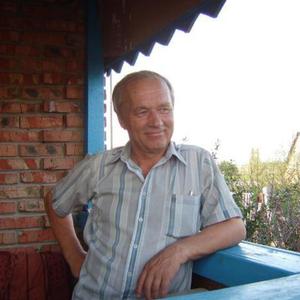 Анатолий, 72 года, Омск