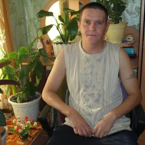 Владимир Науменко, 41 год, Барнаул