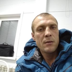 Виталя Киселев, 41 год, Серебряный Бор