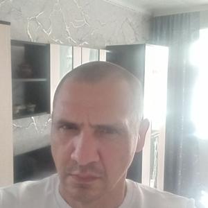 Сергей, 42 года, Кораблино