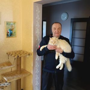 Николай, 65 лет, Мамоново