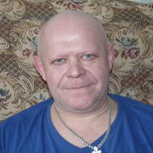 Лев, 56 лет, Щекино