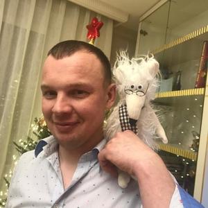 Александр, 43 года, Красногорск