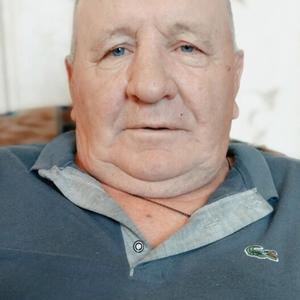 Пётр Федотов, 65 лет, Москва