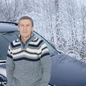 Михаил, 64 года, Архангельск