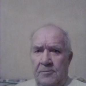 Владимир, 83 года, Челябинск