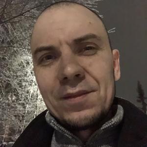 Денис, 41 год, Мончегорск