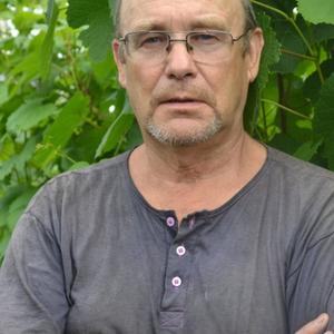 Виктор Пронин, 75 лет, Омск