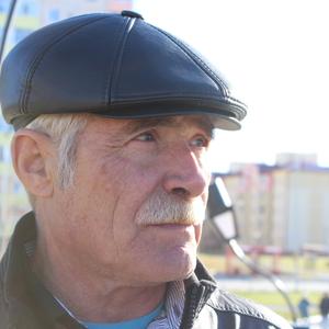 Nikolai Kox, 69 лет, Курган