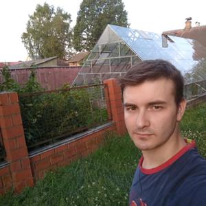 Илья, 33 года, Орехово-Зуево