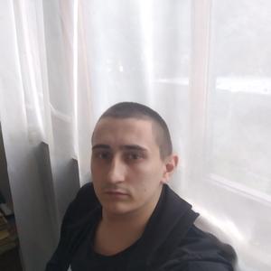Александр, 30 лет, Димитровград