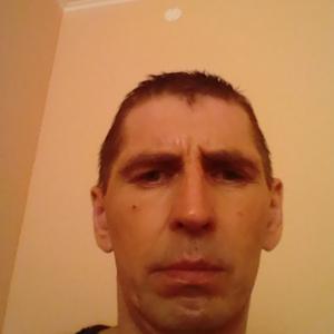 Александр Токарев, 44 года, Котлас