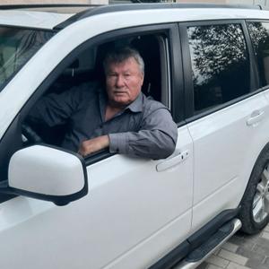Анатолий, 73 года, Кисловодск