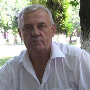 Alexandr, 72 года, Тула