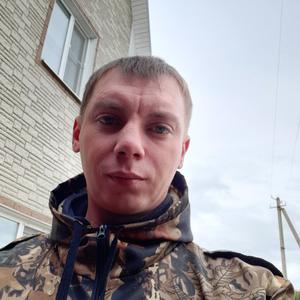 Максим, 34 года, Смоленск