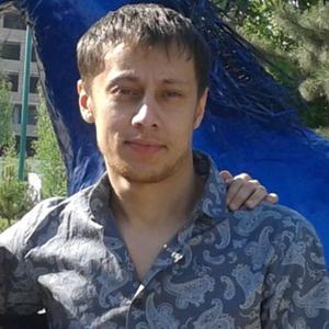 Рамиль, 33 года, Москва