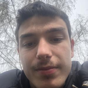 Артак, 20 лет, Новозыбков