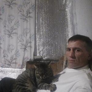 Евгений, 43 года, Тольятти
