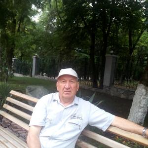 Анатолий, 68 лет, Карталы