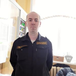 Сергей Дусин, 47 лет, Сыктывкар