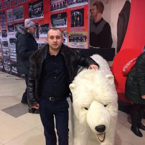 Андрей, 36 лет, Тобольск
