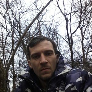 Владимир, 31 год, Ставрополь