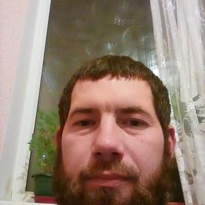 Владимир, 43 года, Краснодар